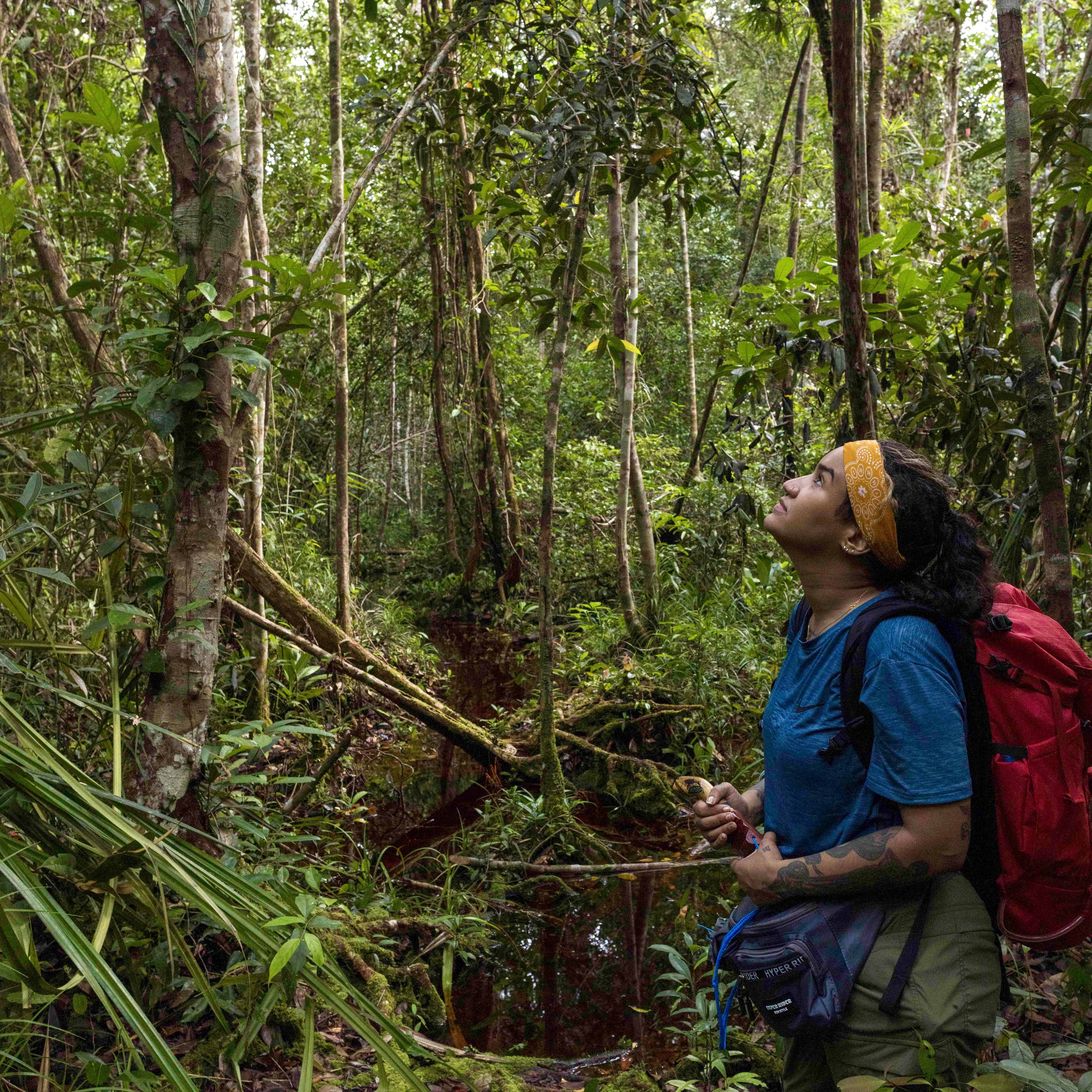 EHJ by ISB tuanan in forest