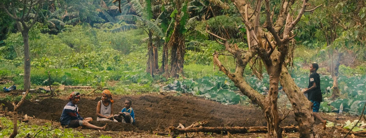A group of people sitting among farmland and a rainforest