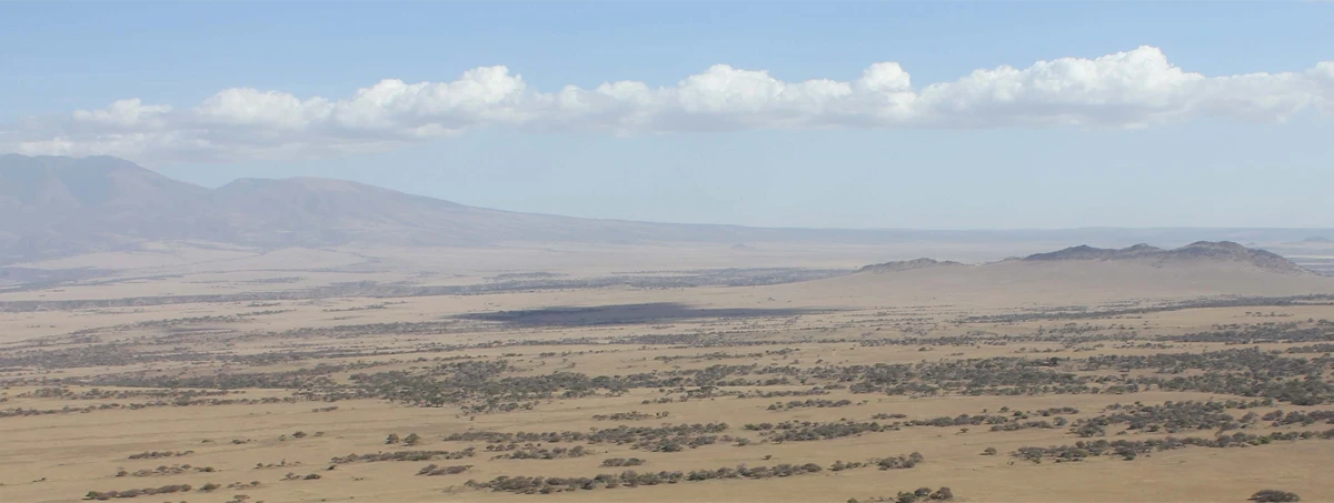 desert plain