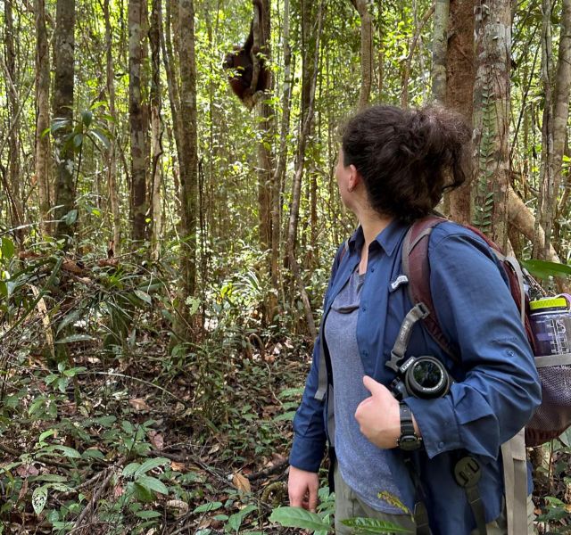 A girl walking in a rainforest and looking at a monkey